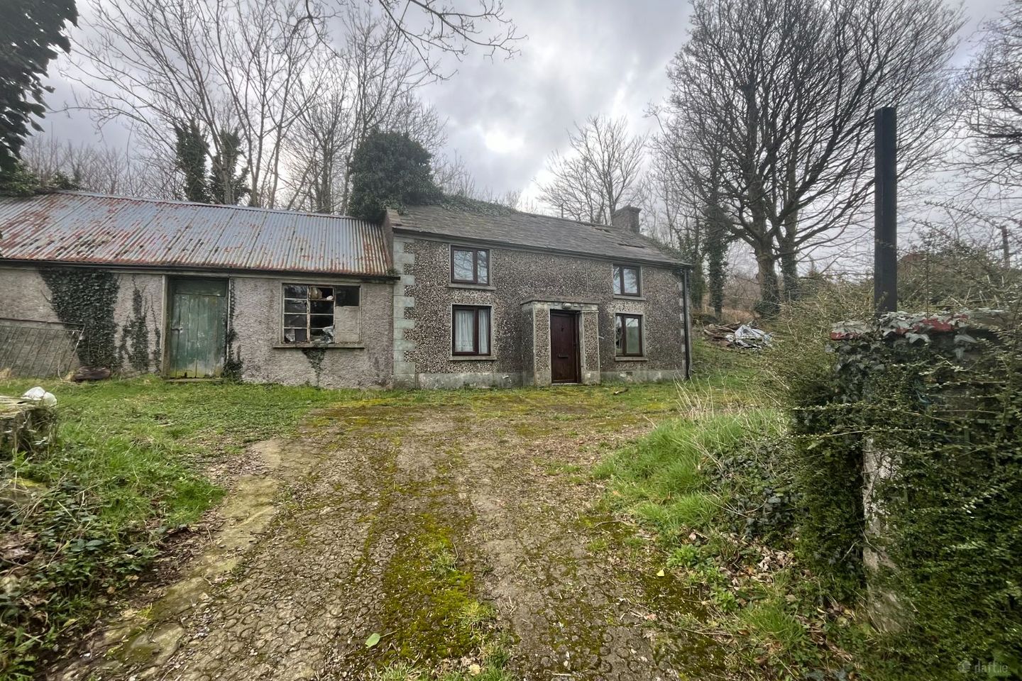 Carrickaneena, Mountpleasant, Ravensdale, Co. Louth, A91EC97 — photo 1