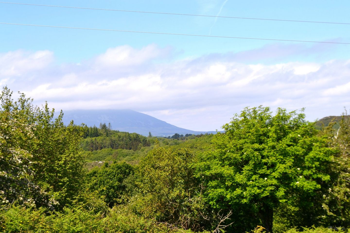 3 Acre Site For Sale , Pontoon, Castlebar, Co. Mayo — photo 1