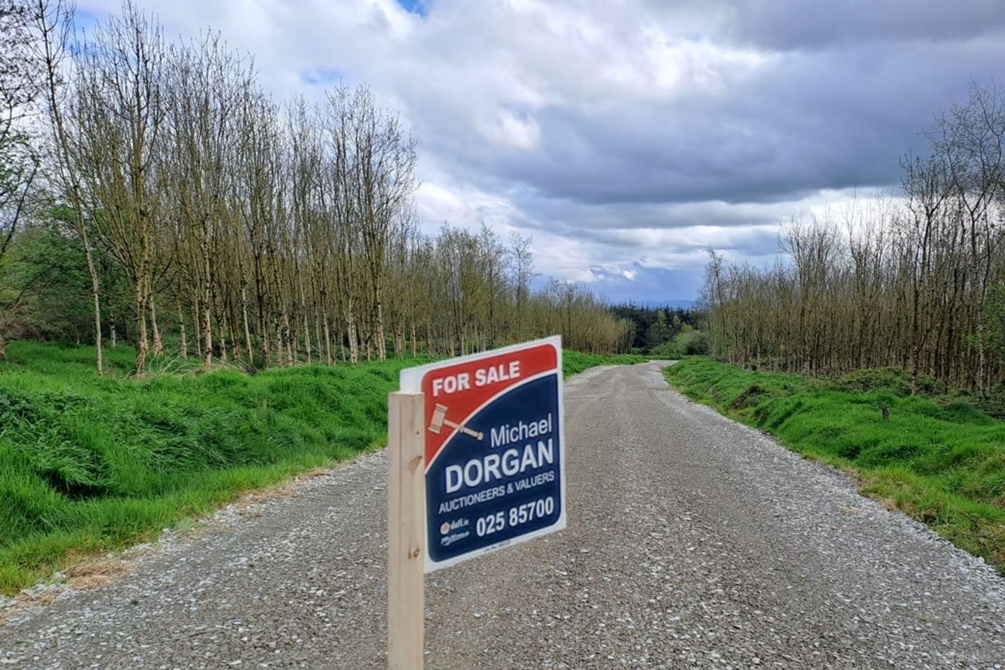 c.93 acres of Forest, Gortacurrig, Kildorrery near, Fermoy, Co. Cork — photo 1