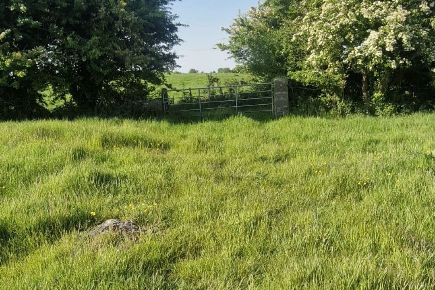 Cloonulty, Ballydangan, Athlone, Co. Roscommon, H53YY88 — photo 1