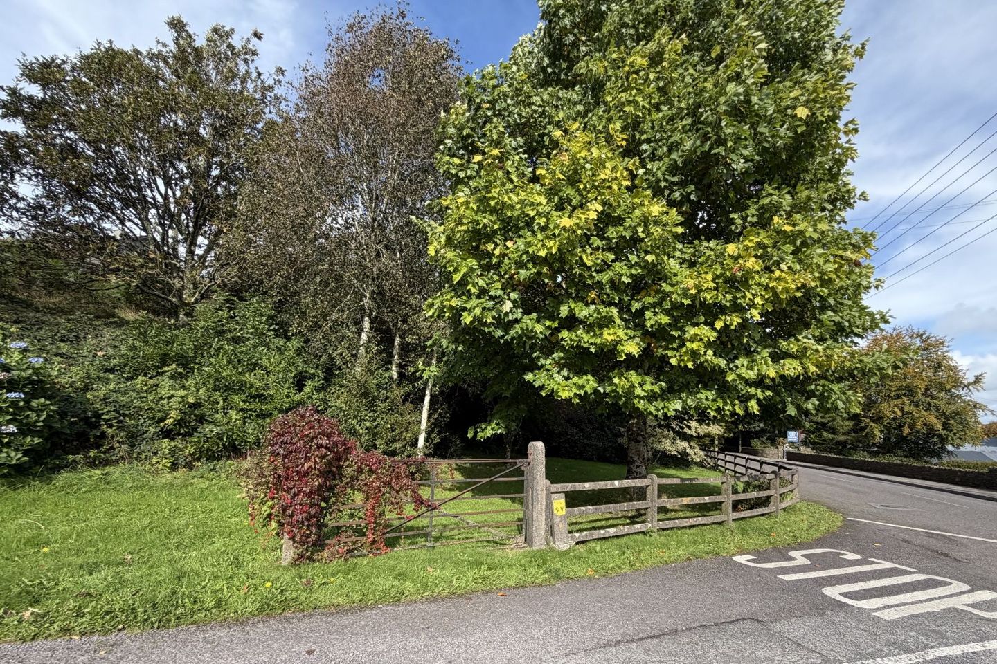 Coronea, Skibbereen, Co. Cork — photo 1