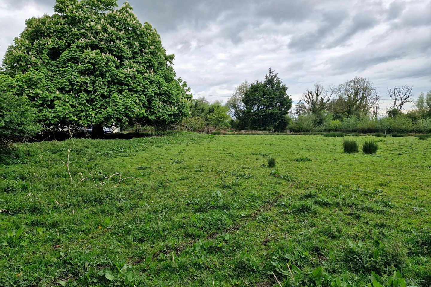 Newgrove, Kilrickle, Loughrea, Co. Galway — photo 1