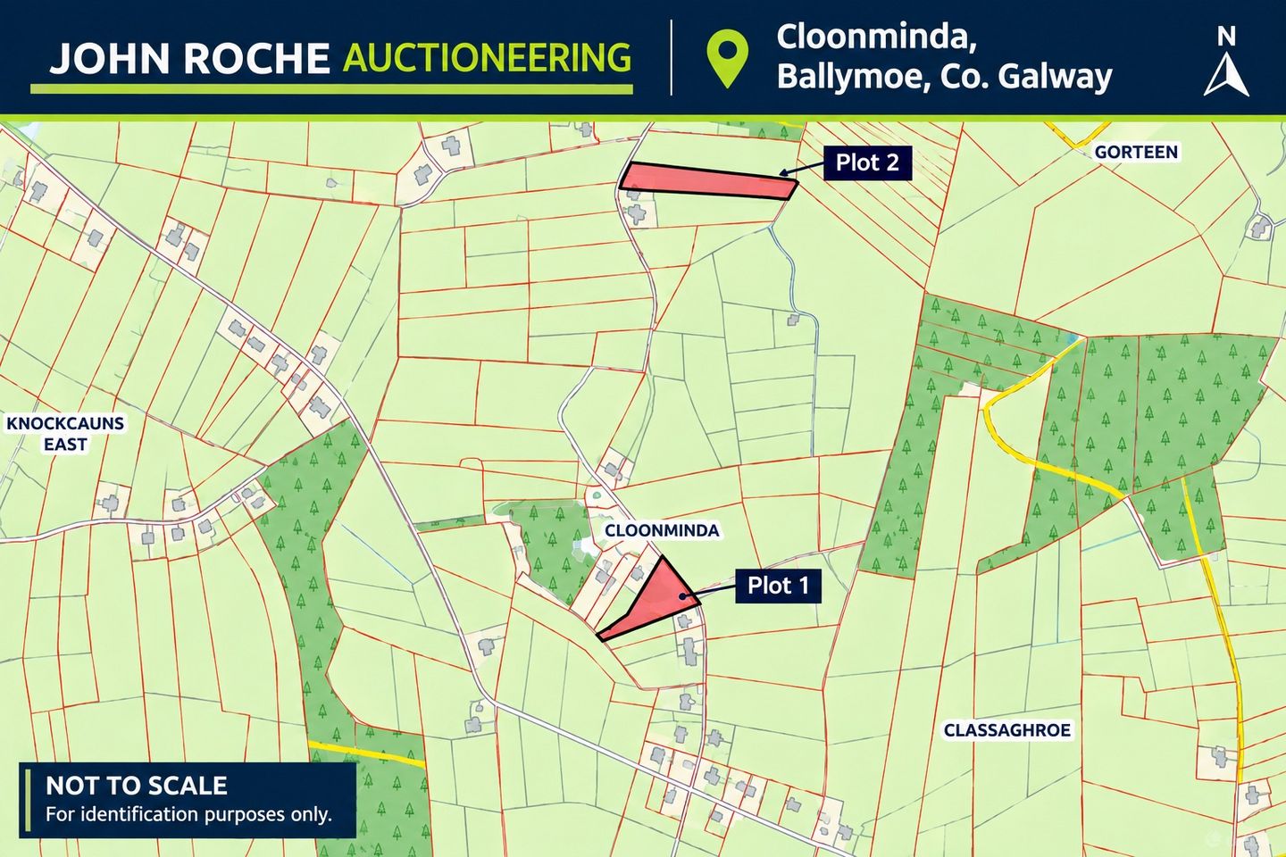 Cloonminda, Ballymoe, Co. Galway — photo 1