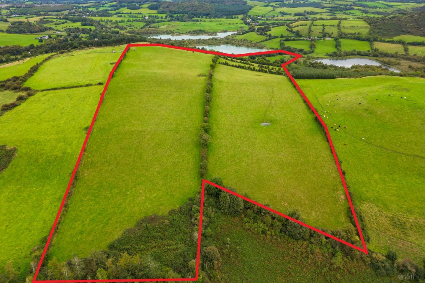 Ben of Fore, Castlepollard, Co. Westmeath — photo 1