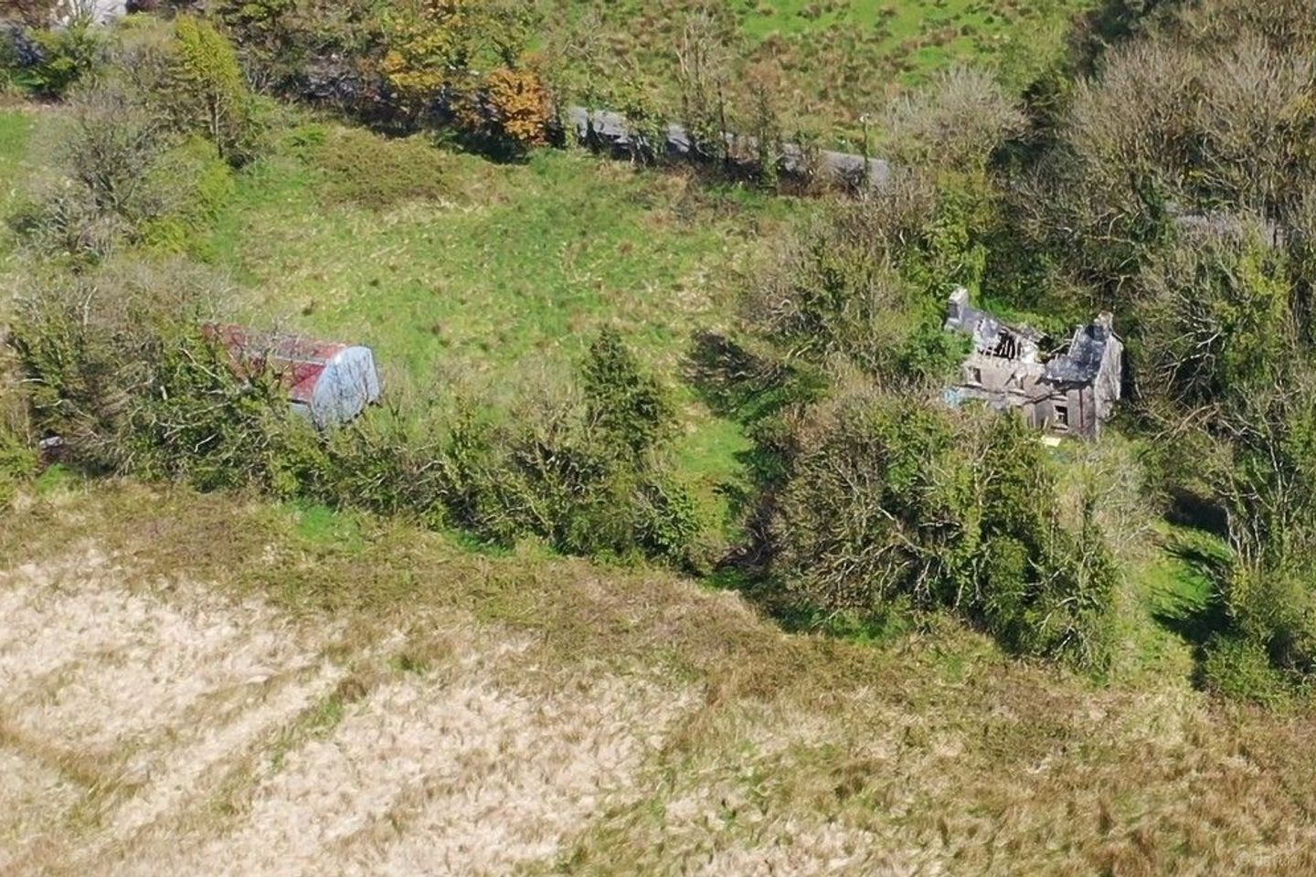 Rushpark, Farragher, Ballymacurley, Co. Roscommon — photo 1
