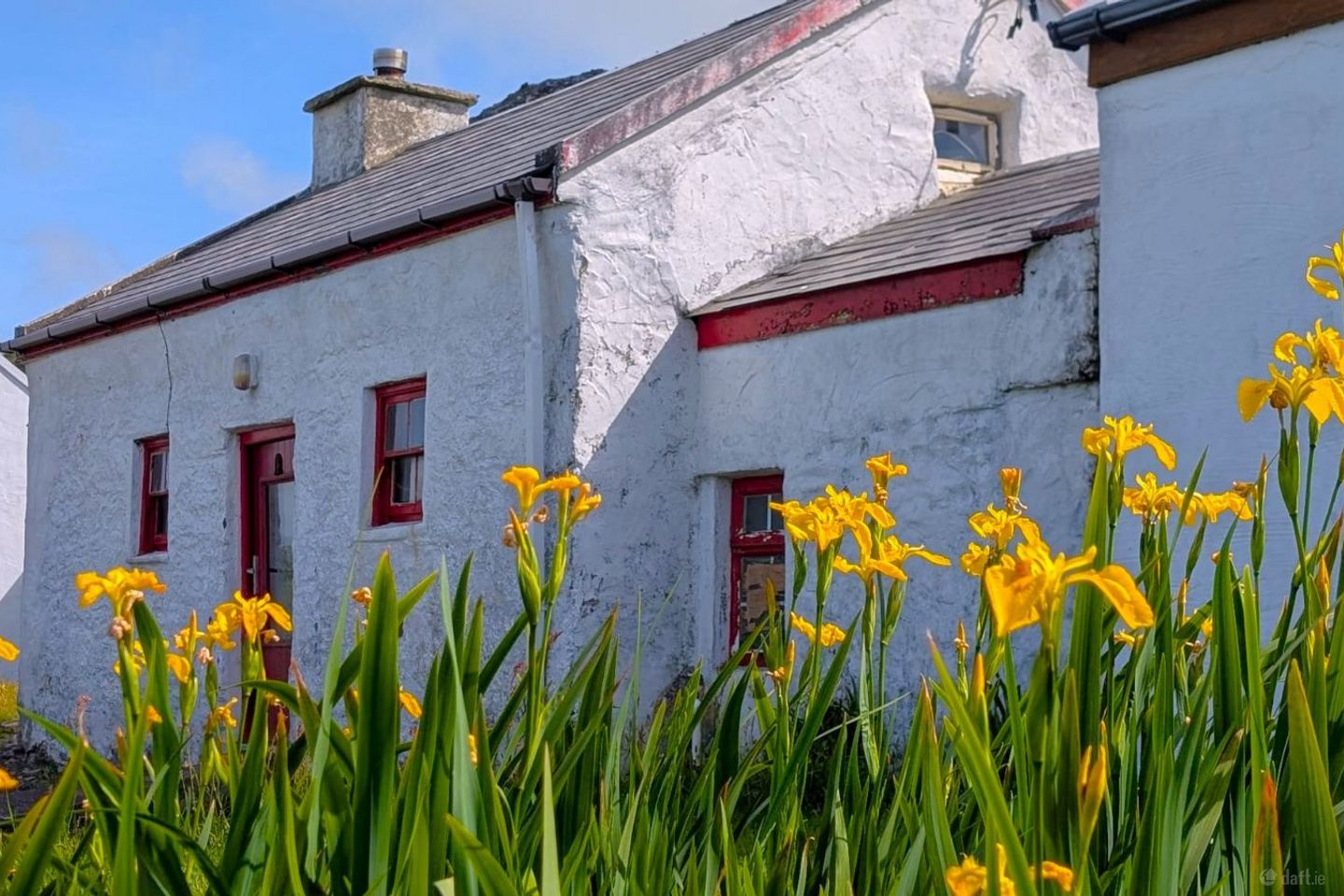 Dohilla, Valentia Island, Valentia Island, Co. Kerry, V23YH21 — photo 1