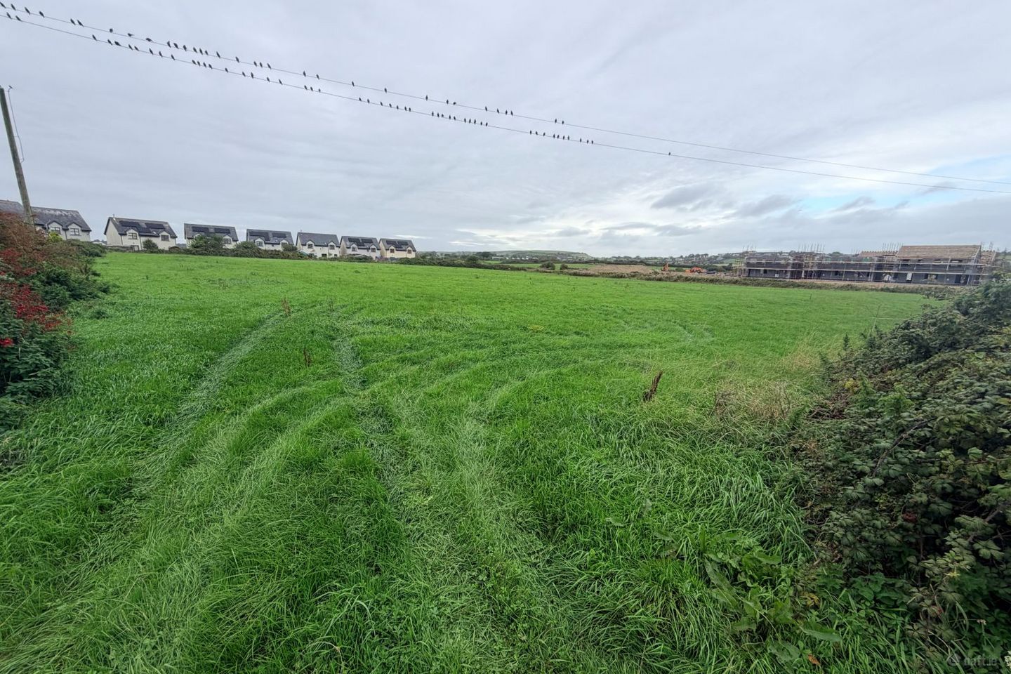 Garryvoe , Garryvoe, Co. Cork — photo 1
