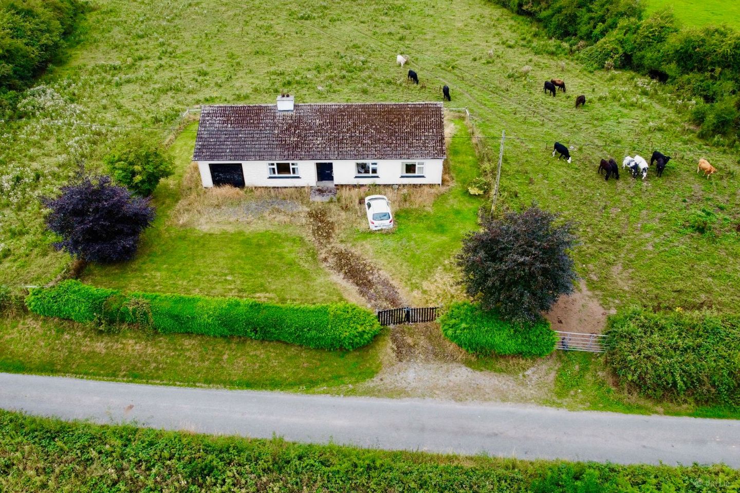 Lisnagree, Streamstown, Streamstown, Co. Westmeath, N91W593 — photo 1