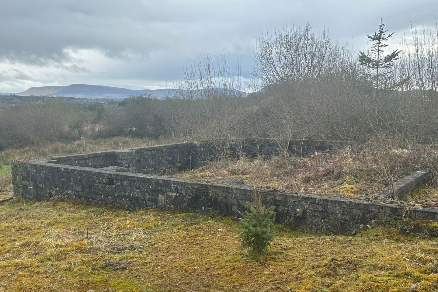 Maulykevane, Killarney, Co. Kerry — photo 1