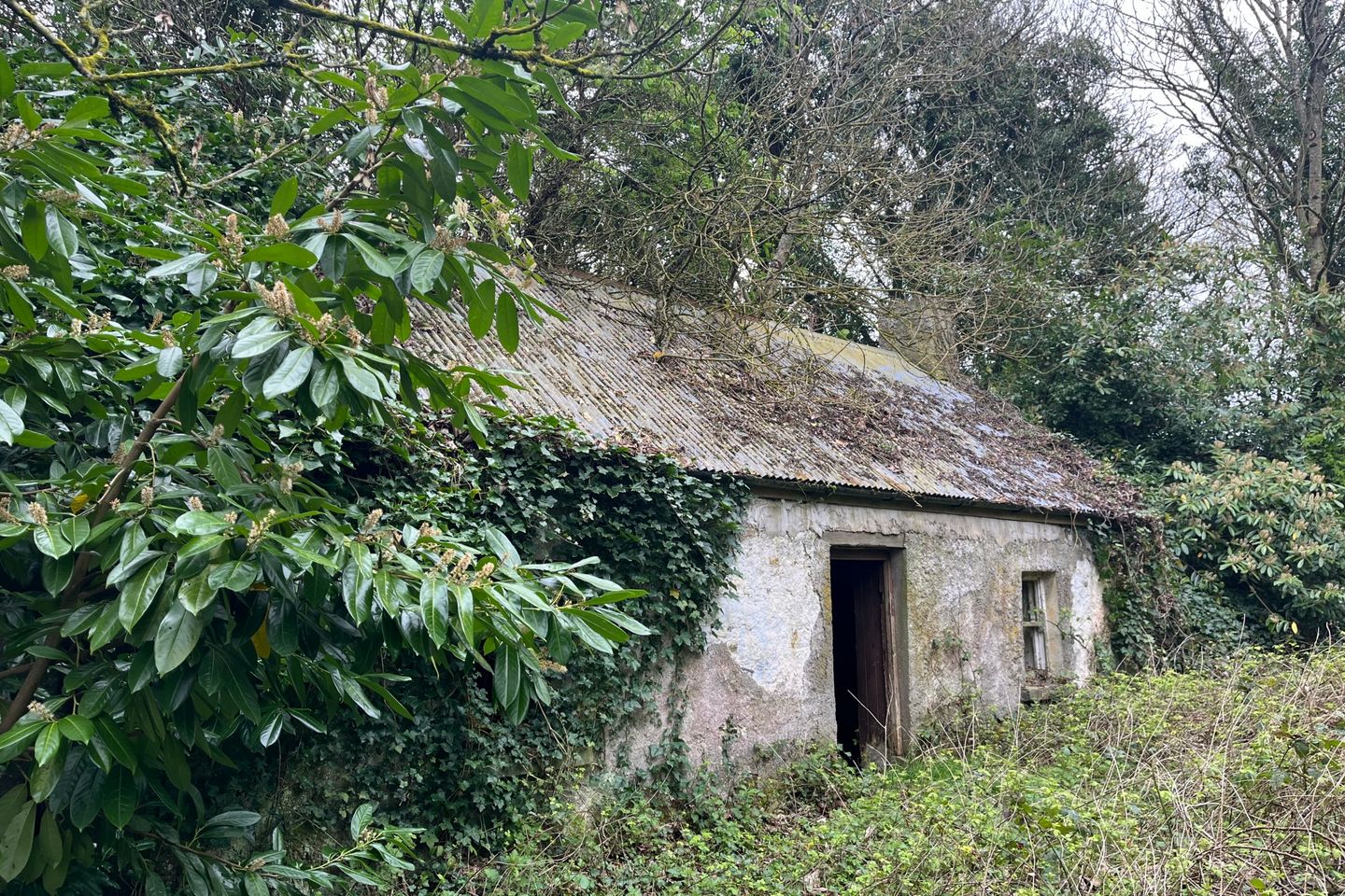Clonydonnin, Castledaly, Athlone, Co. Westmeath — photo 1