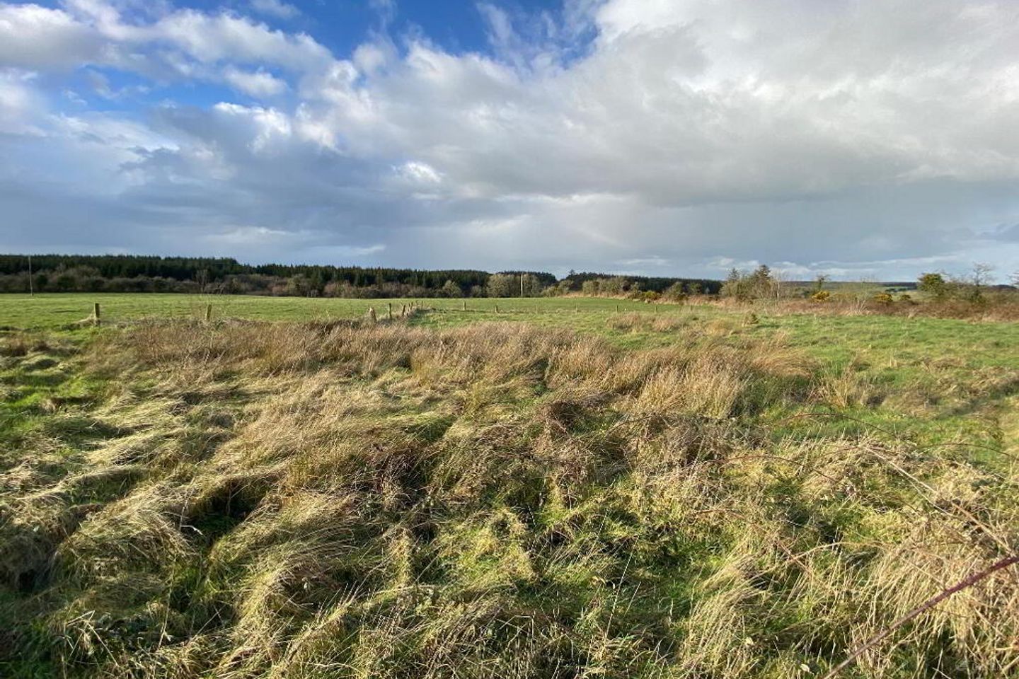 Boolyglas, Hugginstown, Co. Kilkenny — photo 1