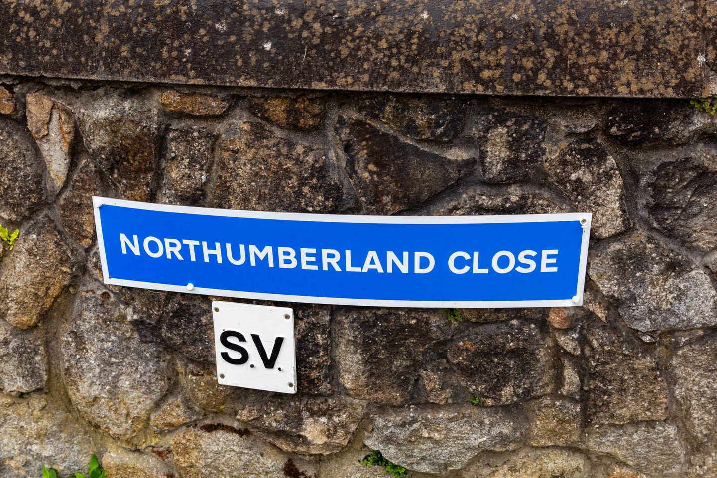 The Lane, Northumberland Close, Northumberland Avenue, Dun Laoghaire, Co Dublin — photo 1