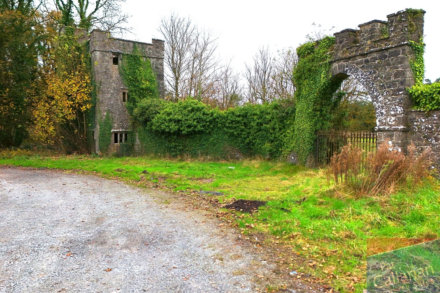 Woodlawn, New Inn, Ballinasloe, Co. Galway — photo 1