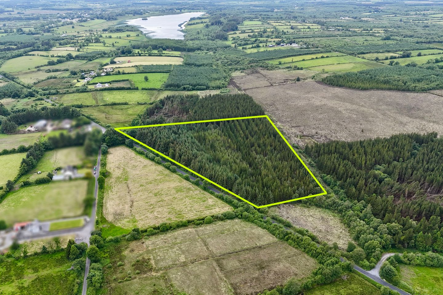 c.8.58 acres of mature forestry at Ballyglass East, Loughglynn, Co. Roscommon — photo 1