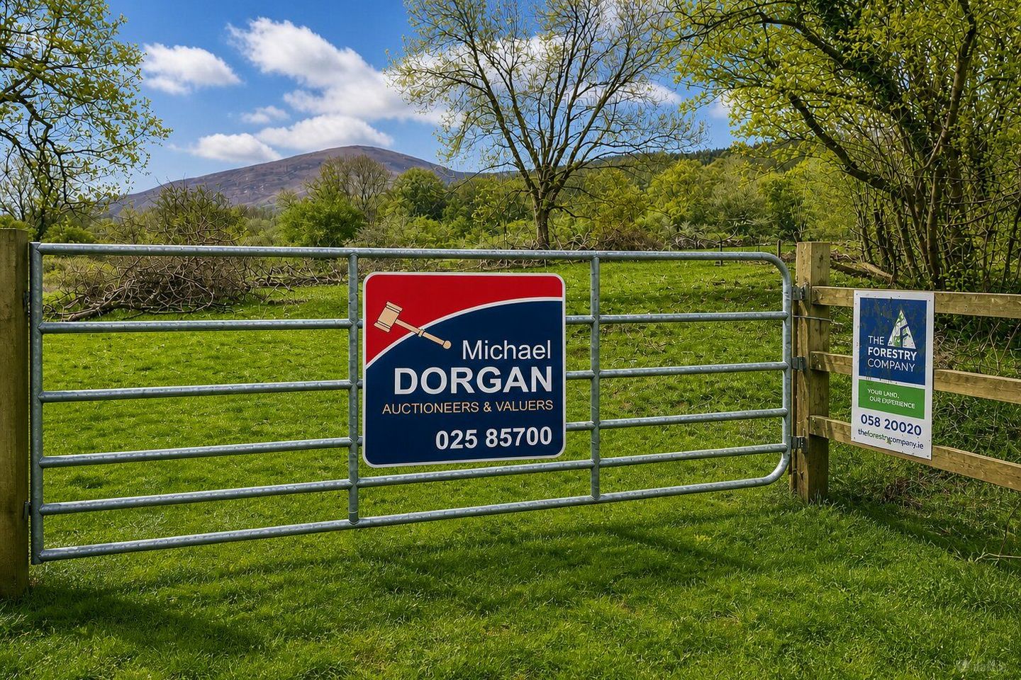 c.53 acres Forrest, Rearoe, Clogheen, Co. Tipperary — photo 1
