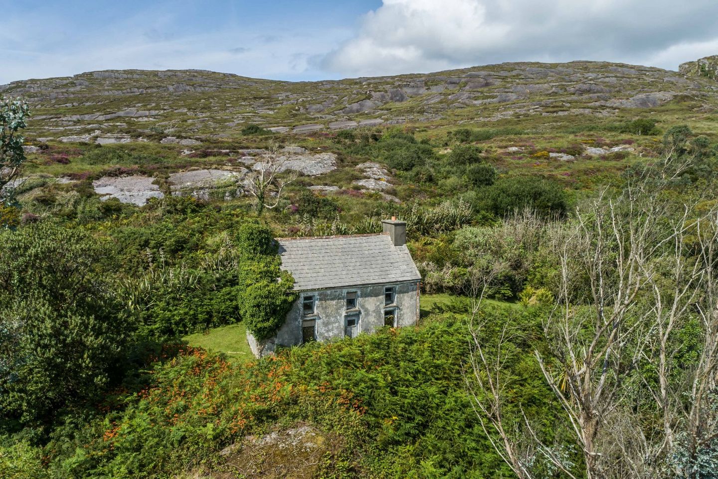 Mauladinna, Schull, Dunmanus, Co. Cork, P81T380 — photo 1