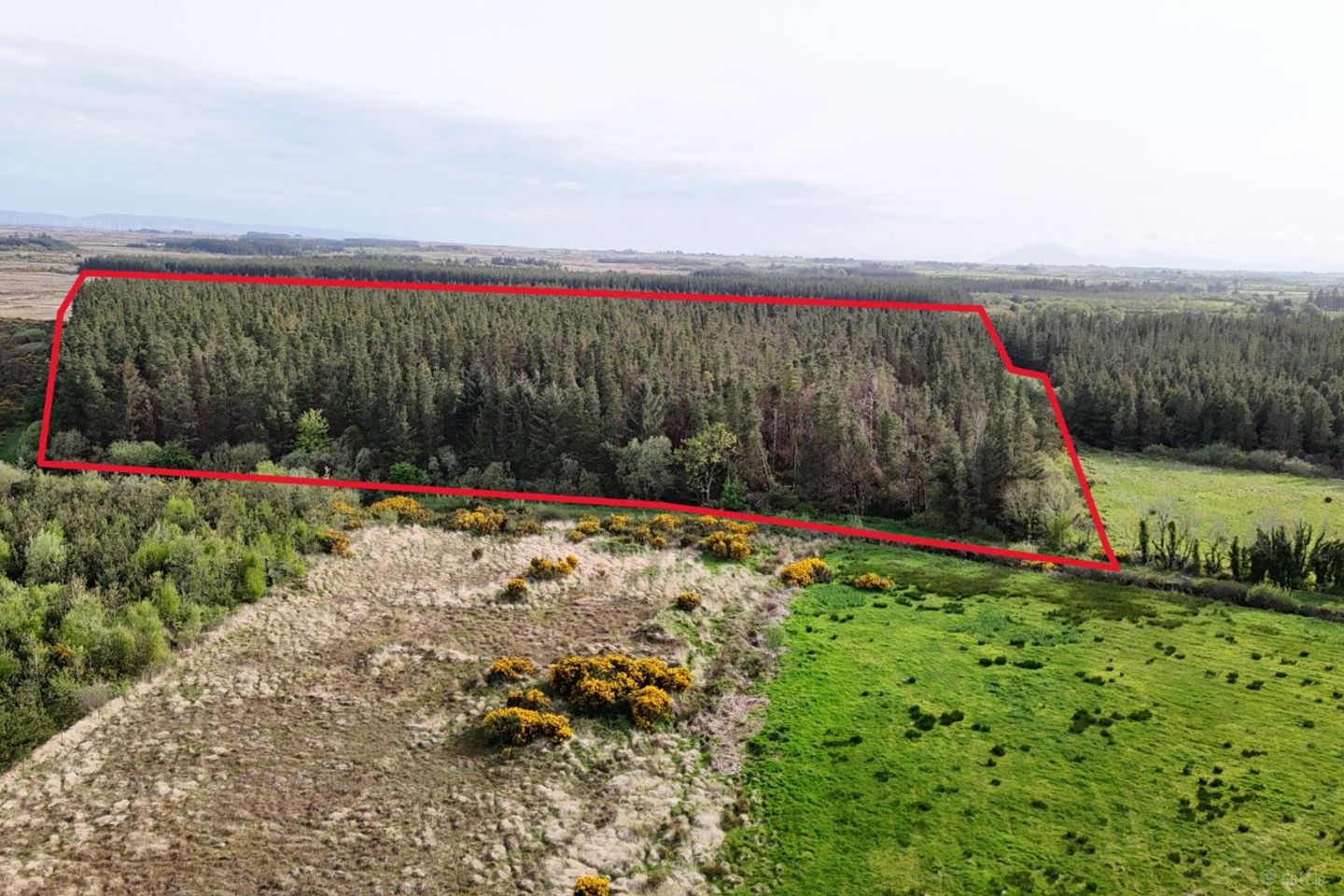Kilmacurkan, Easkey, Co. Sligo — photo 1