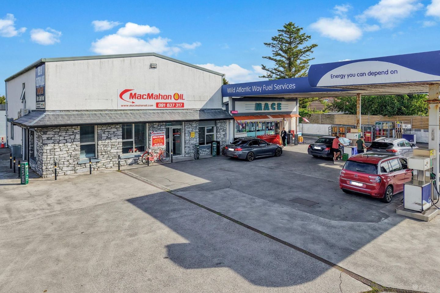 Picture No. 41