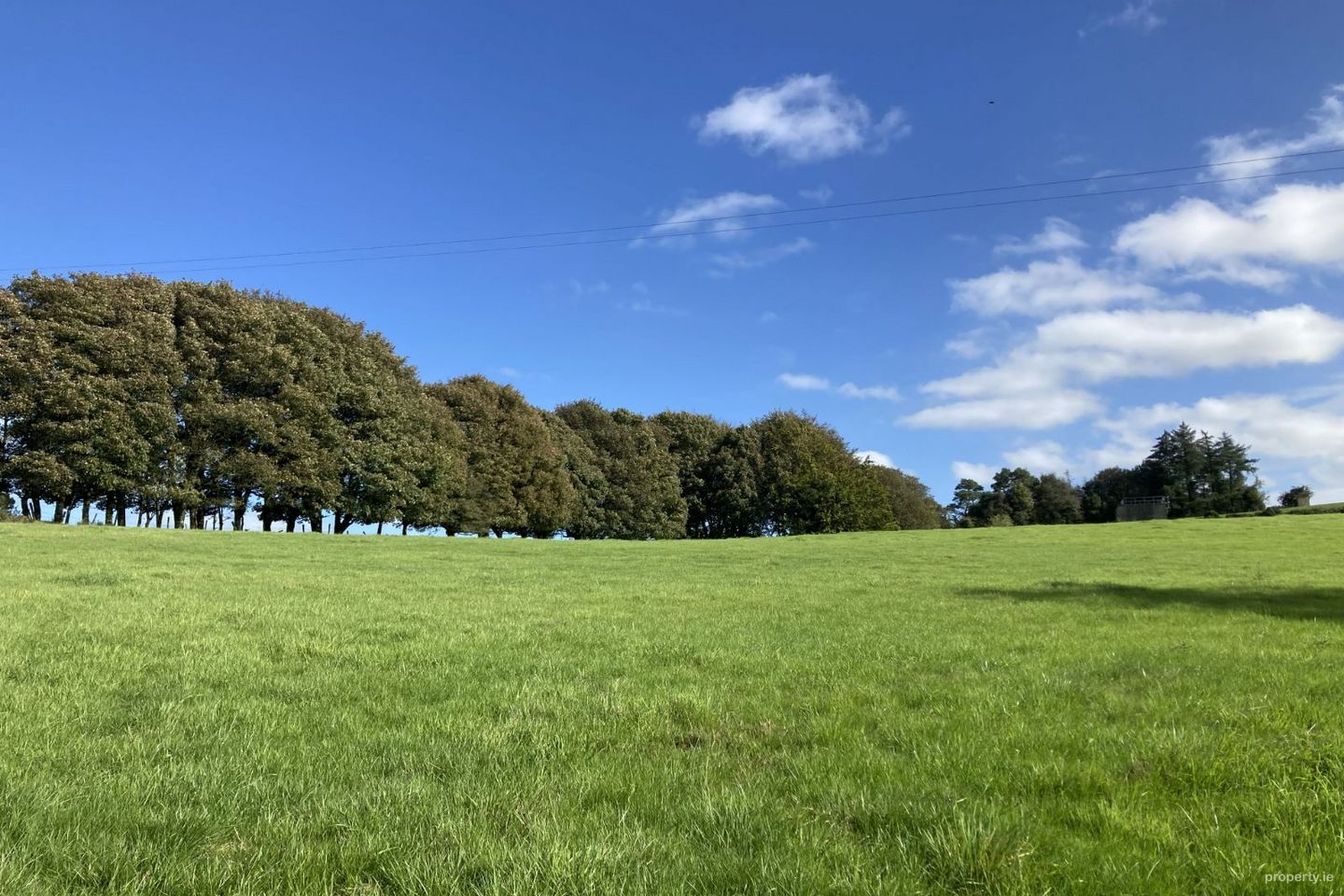 Mountkinnane, Borrisoleigh, Thurles, Co. Tipperary — photo 1