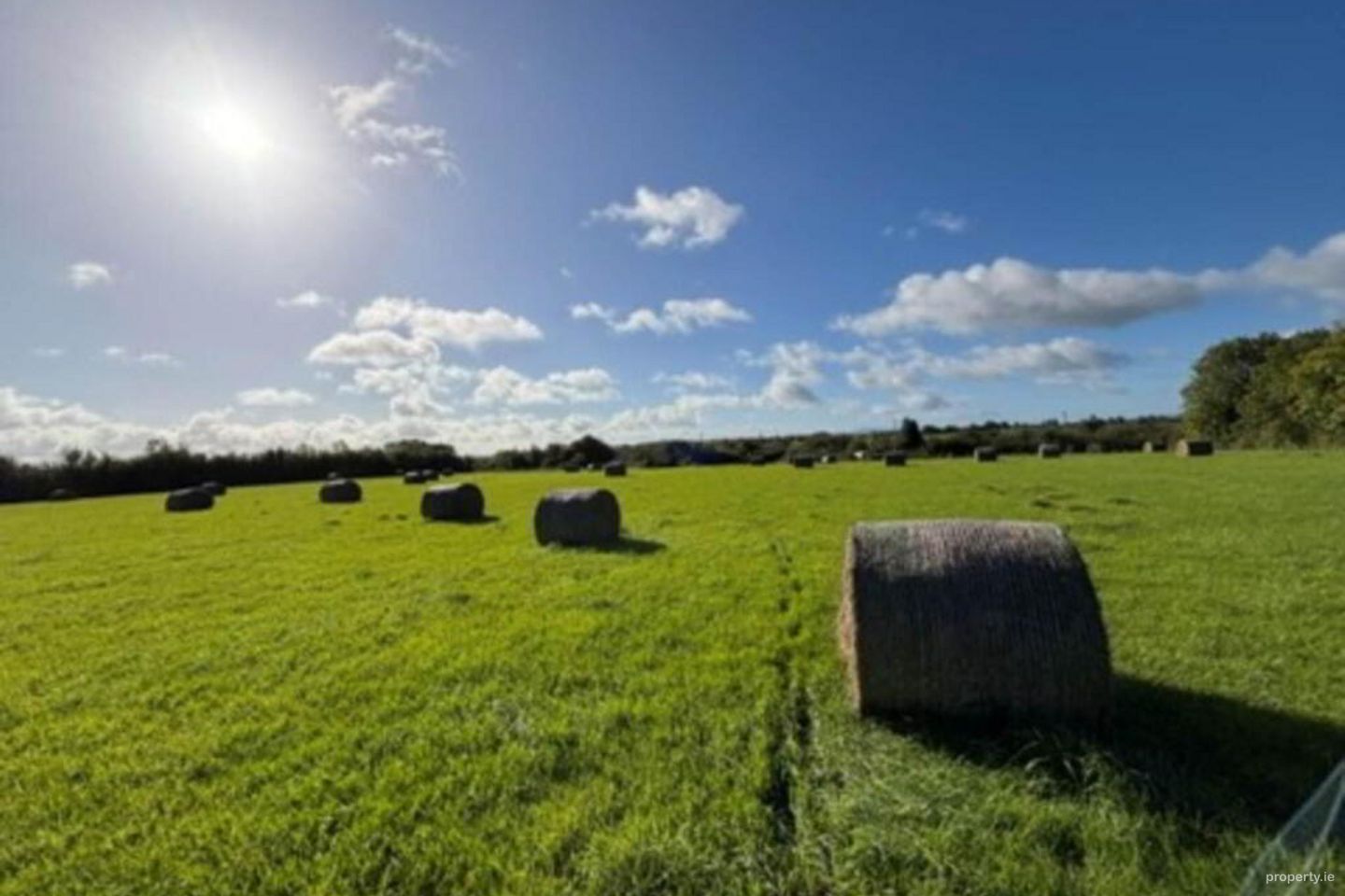 16.29 Ha Or 40.26 Acres, Drumnamahanisland, Borrisokane, Nenagh, Co. Tipperary — photo 1