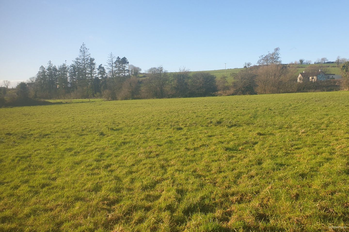 Longfield, Stradone, Co. Cavan — photo 1