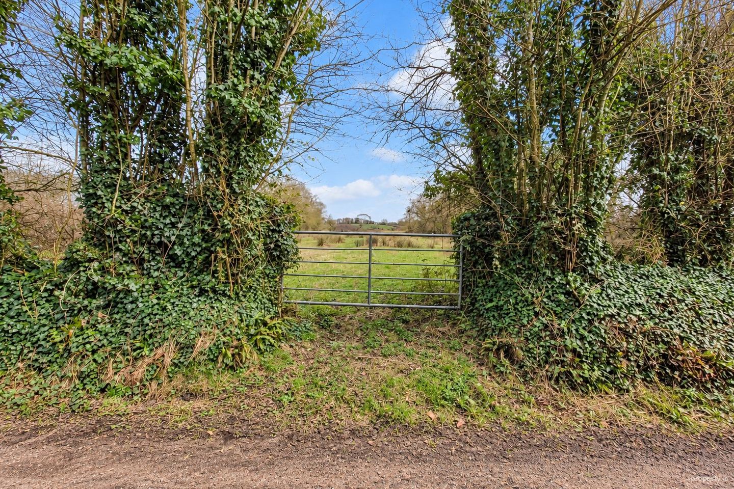 Belmont, Milltown, Co. Galway — photo 1