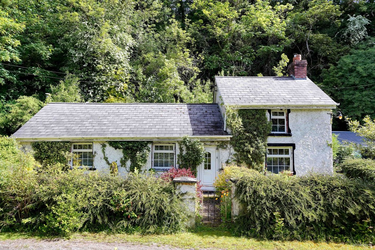 Aughamore, Kilmainhamwood, Kilmainhamwood, Co. Meath, A82PE00 — photo 1