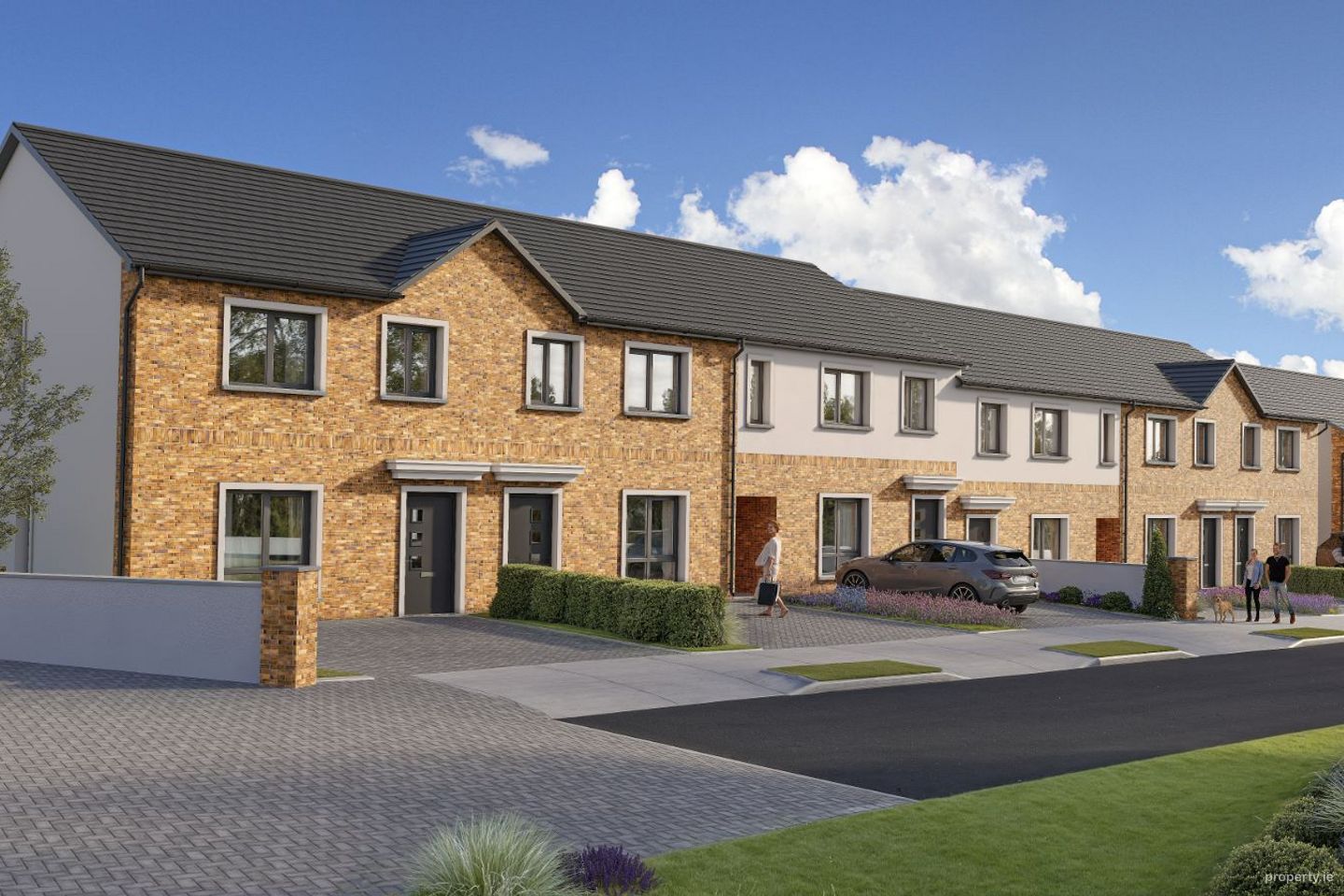 Dargan Woods, Borris Road, Portlaoise, Co. Laois — photo 1