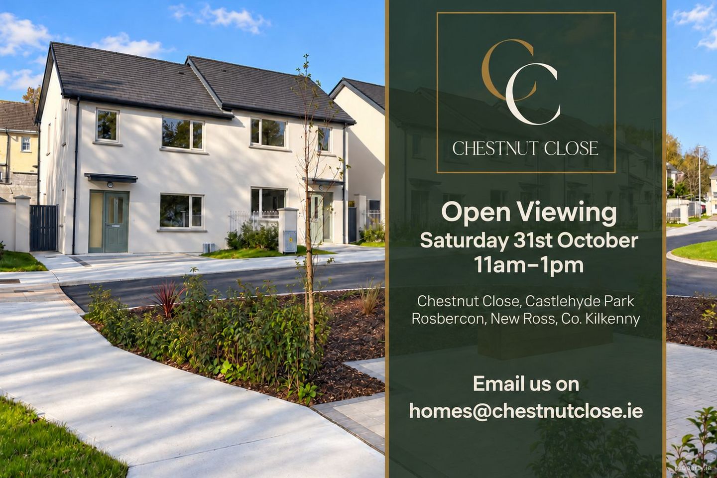 Chestnut Close, Castlehyde Park, Rosbercon, New Ross, Co. Kilkenny - adjacent to Y34 CR22, New Ross, Co. Kilkenny — photo 1