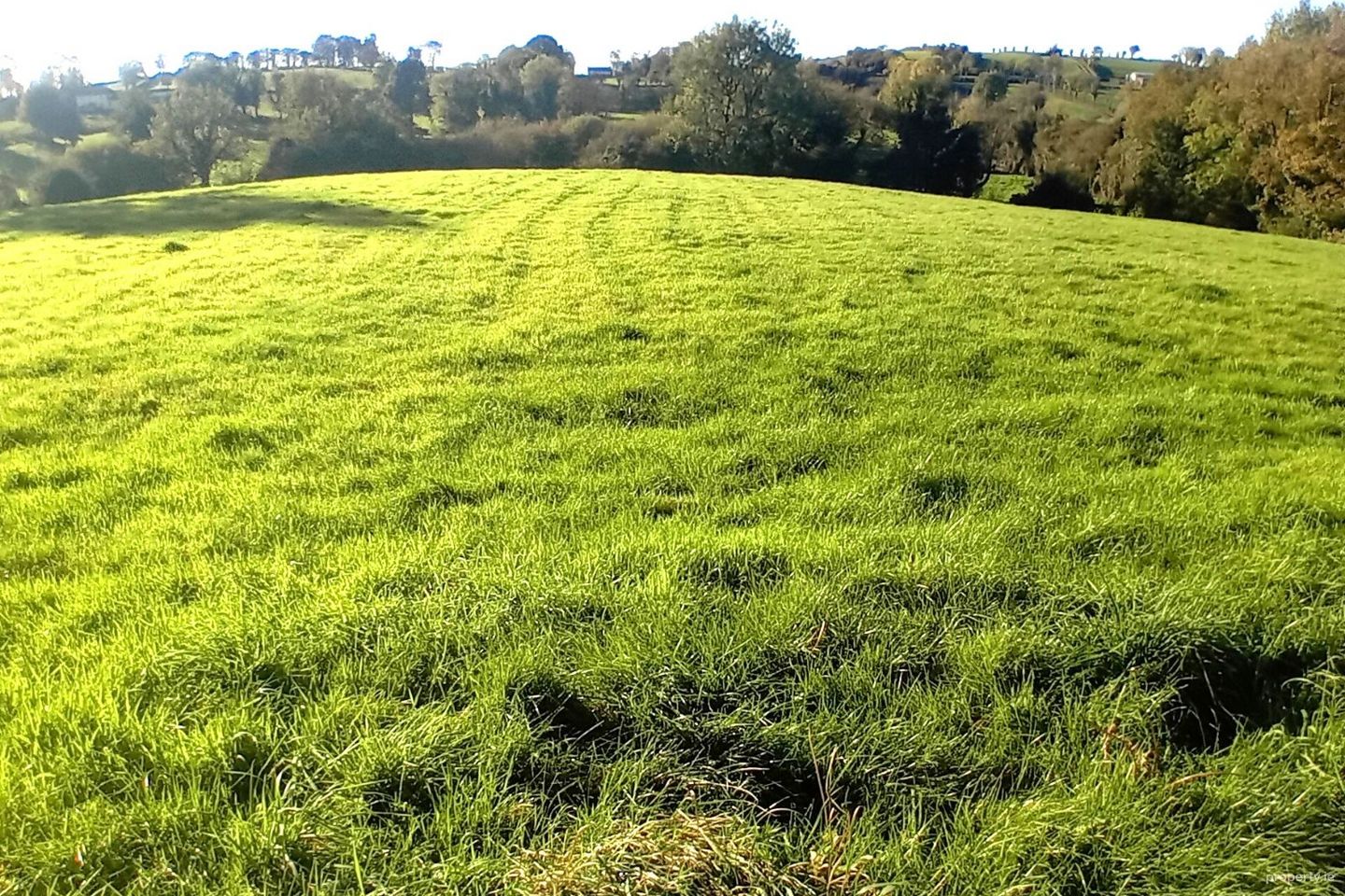 Dundian, Emyvale, Co. Monaghan — photo 1