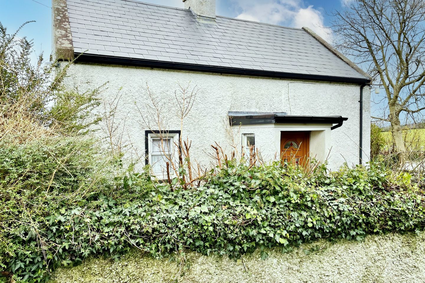 Marley, Graiguenamanagh, Co. Carlow, R95T2W4 — photo 1