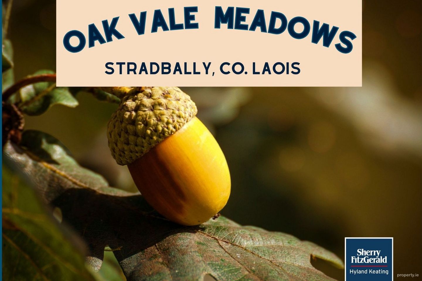 Oak Vale Meadows, Stradbally, Co. Laois — photo 1
