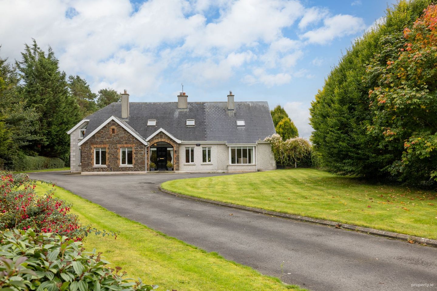Heath, Grangemellon, Ballyroe, Co. Kildare — photo 1