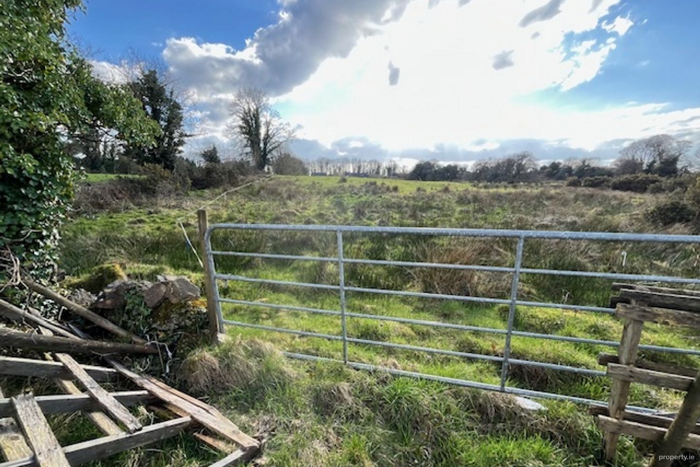 Dalgin, Milltown, Co. Galway — photo 1