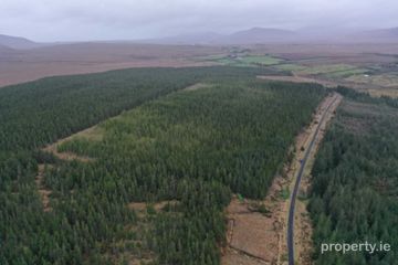 C. 53.3 Acres Of Forestry, Castlehill, Ballycroy, Co. Mayo