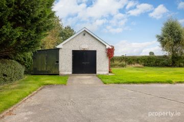 Heath, Grangemellon, Ballyroe, Co. Kildare — photo 3