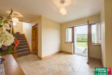 Firmullagh, Moyne, Co. Longford, N39NW28 — photo 2
