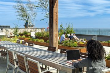 Roof Garden