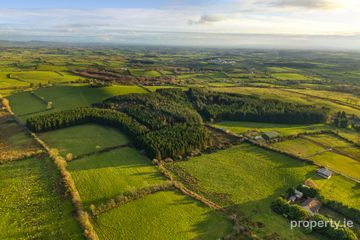 Carrickleck, Nobber, Co. Meath, C15N525 — photo 2