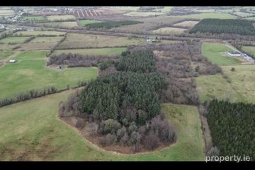 Gallen, Ferbane, Co. Offaly — photo 2