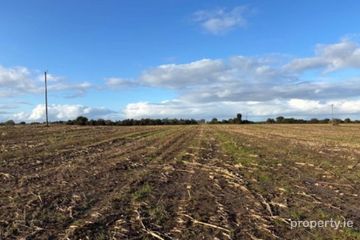 Drumminascart, Ballycommon, Co. Tipperary — photo 2