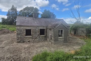 Derelict Cottage, Barnhill West, Castledermot, Co. Kildare, R93H7V0 — photo 3