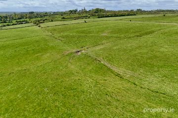 36.35 Acres (approx.) Residential Farm at Castleplunkett, Castlerea, Co. Roscommon — photo 2