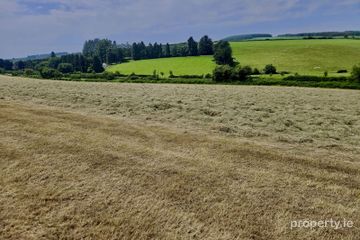 long road, Rathdrum, Co. Wicklow