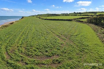 Ballynamona, Kilmuckridge, Co. Wexford — photo 2