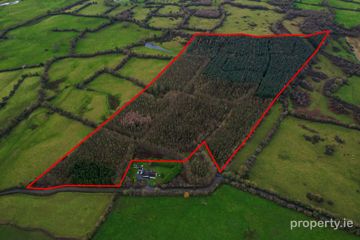 Fardrum, Athlone, Co. Westmeath