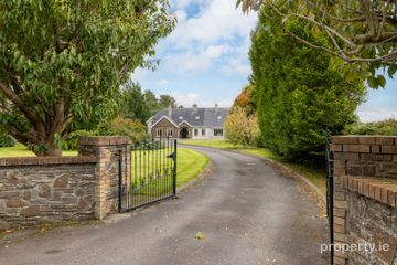 Heath, Grangemellon, Ballyroe, Co. Kildare — photo 2