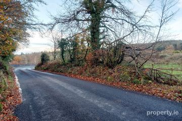 Cooleycasey, Sixmilebridge, Co. Clare — photo 2