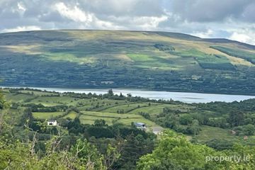 Derreenavoggy, Arigna, Carrick-on-Shannon, Co. Roscommon, N41TV77