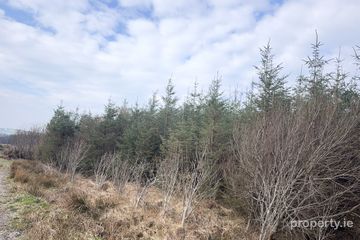 Ref 1169 - Forestry Lands, Garrane, Portmagee, Co. Kerry